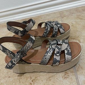 Espradille platform sandal snake print